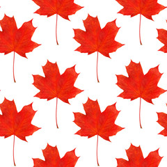 pattern maple leaf red autumn