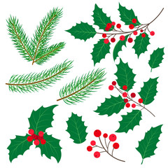 Fototapeta na wymiar Set of fir tree and mistletoe branches with leaves and berries, Christmas decoration, flat cartoon style vector illustration on white background. Fir tree and mistletoe set, twigs, leaves and branches
