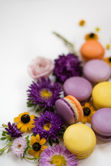 Fototapeta na wymiar Colorful macarons, flowers and leaves on a white background. Colorful french dessert with fresh flowers. Autumn concept