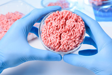 Laboratory grown artificial meat sample in petri dish concet