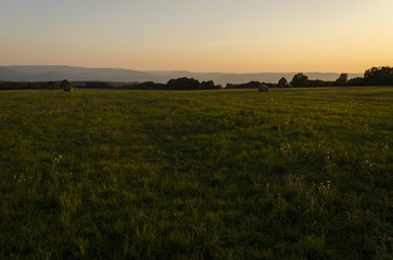 Obraz premium misty sunset on meadow