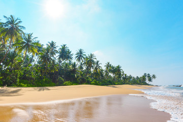 Fototapeta premium Beautiful empty beach on tropical island with coconut palm trees and clean sand at clear sunny summer day