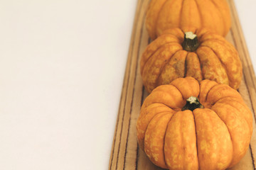 Autumn mini pumpkins in a kitchen