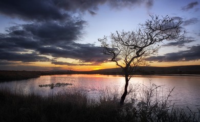 Sunset at Broadpool, a small lake on the northern end of the Gower peninsula at the base of Cefn Bryn, Swansea, South Wales, UK
