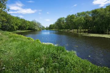 Fototapeta premium marshy lake
