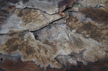 Holz,Wood, tree trunk