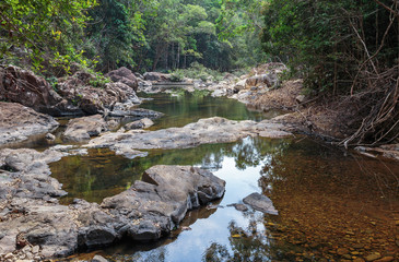Naklejka na ściany i meble Stream in the tropical jungles