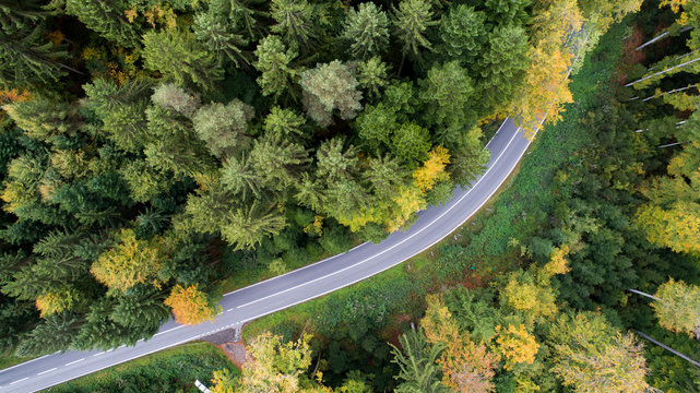 Strasse im Wald von oben