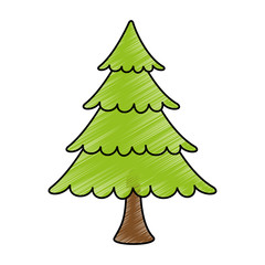 merry christmas pine tree