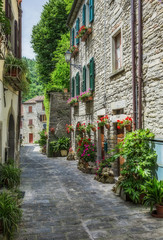 old street with flowers in Italy