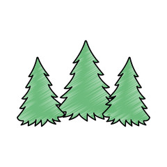 Pine forest scene silhouette
