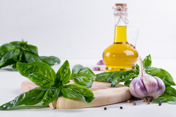 Fresh green basil with garlic and olive oil on white background