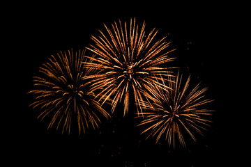 Nice colorful  Fireworks in the black sky main color is red tone