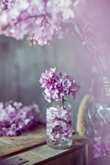 Fototapeta premium Kwiat bzu, zdjęcie odcień w stylu vintage