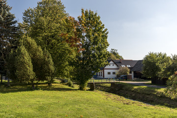 a white cottage near the creek and a tree with a colored leaf
