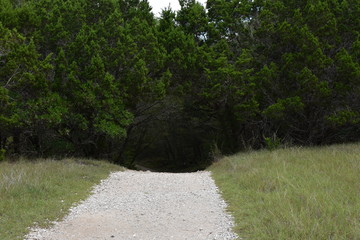 pathway