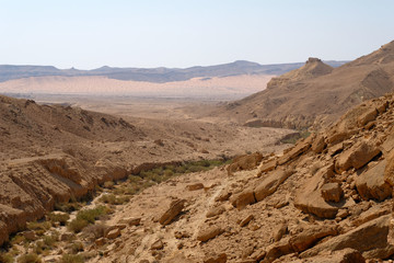 Dry wadi in Negev desert.
