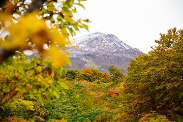 Obraz premium 鳥海山 紅葉