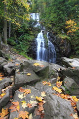 Fototapeta premium Cascade en Forêt / Cascade du tendon en Forêt Vosgienne en france