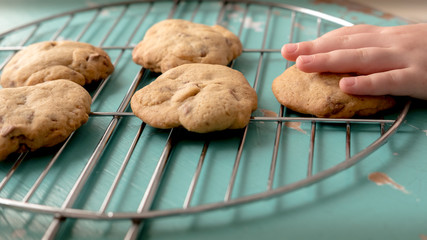 Top View Of Boy Stealing Cookie Off A Metal Grid