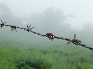 BROUILLARD BROUILLARD