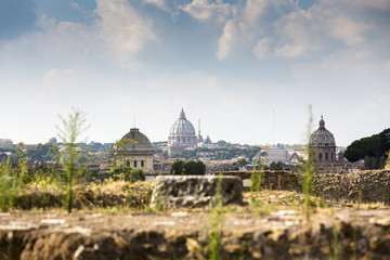 Obraz premium ancient ruins on Palatine Hill against St. Peter's Basilica, Rome, Italy, Europe