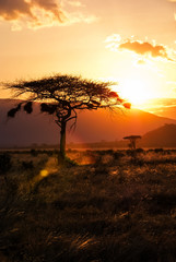 Fototapeta na wymiar African Sunset