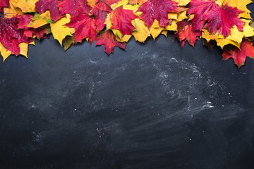 bright foliage season autumn black blackboard