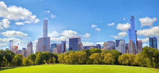 Poster Central Park panorama and Manhattan skyscrapers in New York © Oleksandr Dibrova