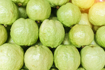 Big fresh guava selling in the market
