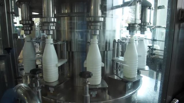 The process of milk bottling in a dairy factory