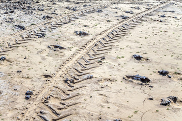 Solonchak - saline soils