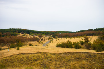 Autumnal landscape of Kakheti region