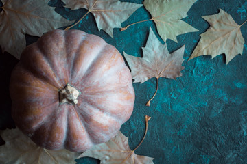 Happy Halloween, pumpkin, postcard, autumn, autumn leaves, halloween, holiday, coven, fear, night...