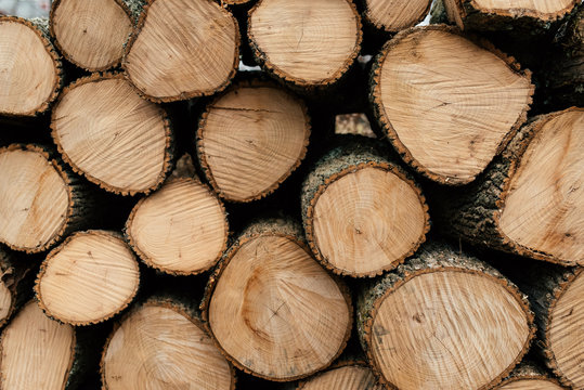 Split logs ready for the fireplace in the winter