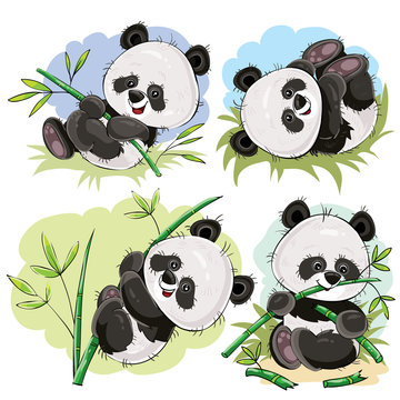 Funny panda bear baby playing on grass, climbing on bamboo stem, eating bamboo branch cartoon vectors set isolated on white background. Cute wild animal character for kids books illustrating, zoo ad