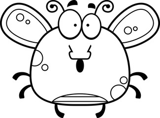 Surprised Little Fly