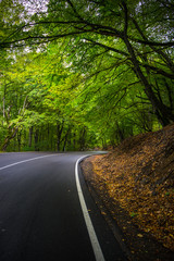 Obraz premium Autumnal landscape of Kakheti region
