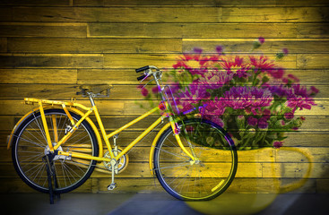 Fototapeta na wymiar Old yellow bicycle and flower in vas on wooden background , multiply effect