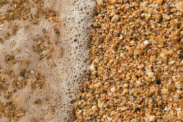 Open seashell on a pebble beach splashed by a sea surfs