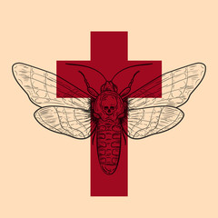 Death head hawk moth with red cross in retro vintage style. Design template for tattoo, print, cover. Vector illustration.
