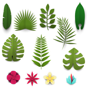 Set of cartoon tropical leafs and flowers in paper cut trendy craft style. Modern design for advertising, branding greeting card, cover, poster, banner. Vector illustration.