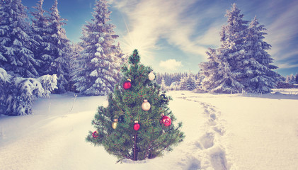 Weihnachten im Winterwald