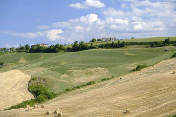 Fototapeta na wymiar Landscape in Romagna at summer: fields