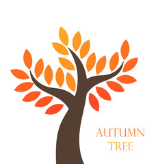 Autumn tree with orange leaves.