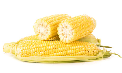 Corn cobs on white background.