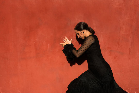 Professional flamenco dancer, Granada