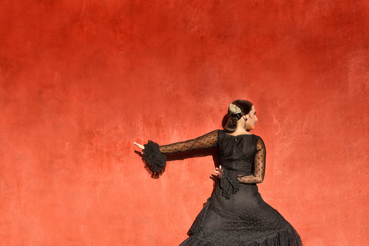 Professional flamenco dancer, Granada