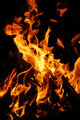 Bonfire