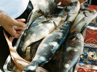 Fish being displayed on a table in Turkey